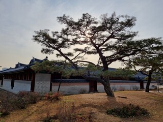 Naklejka premium Gyeongbokgung Palace in Korea