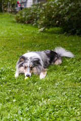 Fototapete bei efototapeten.de bestellen   