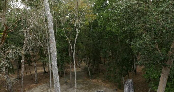 Structures in the Maya city of Calakmul, in Campeche, Mexico