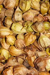 Palpotan fruits on white background with selective focus