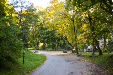 Fototapeta na wymiar Park road in autumn.