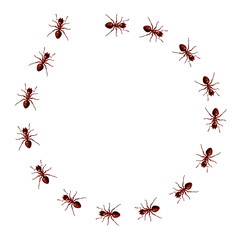 Red ants marching in a circle. Vector round formic frame consisting of walking bugs. 3D realistic illustration of a track or trail of domestic insects isolated on a white background