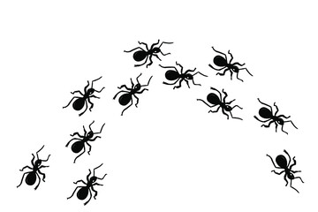 Ant trail, vector illustration