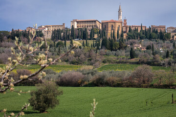 Fototapeta na wymiar Pienza, Siena. Panorama verso il Duomo di Santa Maria Assunta e Palazzo Piccolomini dalla campagna. 