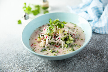 Traditional homemade cold soup with cucumber and radish	
