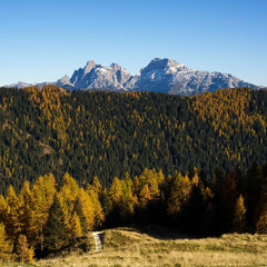 Sunny day on dolomites,  autumn color and foliage