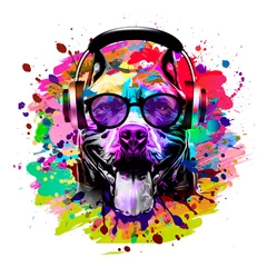 Poster abstract colored dog muzzle in eyeglasses and headphones isolated on colorful background © reznik_val