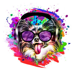 abstract colored dog muzzle in eyeglasses and headphones isolated on colorful background