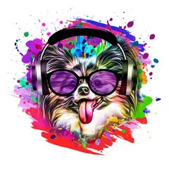 Foto op Canvas abstract colored dog muzzle in eyeglasses and headphones isolated on colorful background © reznik_val