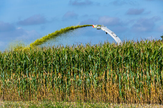 H&auml;cksler bei der Ernte im Maisfeld