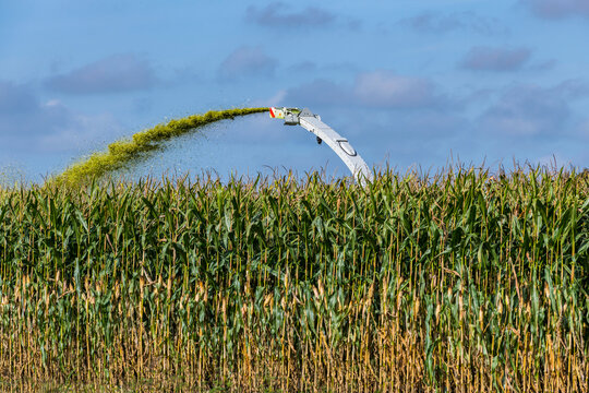 H&auml;cksler bei der Ernte im Maisfeld