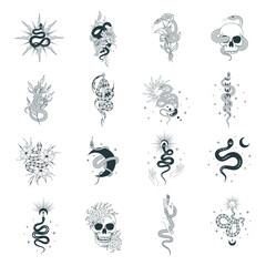 Hand drawn isolated set with floral and celestial snakes. Mystical and spiritual python, reptile collection for t-shirt design, fabric, covers and cards.