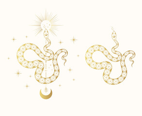 Fototapeta premium Hand drawn golden celestial snake illustration with stars, sun and moon. Gold spiritual background for tattoo, covers, t-shirt design, fabrics, notebooks and cards.