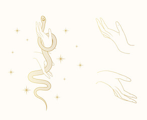 Obraz premium Hand drawn celestial set with stars, hands and snake. Golden spiritual vector illustration for witchcraft. Background for t-shirt design, fabric, covers and cards.