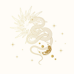 Obraz premium Hand drawn golden celestial moon and sun snake illustration with stars. Mystical print in vintage style for t-shirt design, fabric, cards and covers.