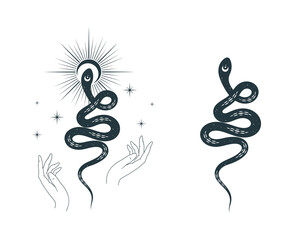 Obraz premium Hand drawn set with snake and wriggling serpent with stars and the sun. Celestial witchcraft prints for design of t-shirts, fabrics, tattoo, cards 