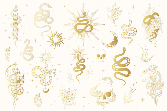 Floral and Celestial golden snakes collection. Gold vector isolated set of mystical witchy elements for tattoo,  t-shirt design, fabric.
