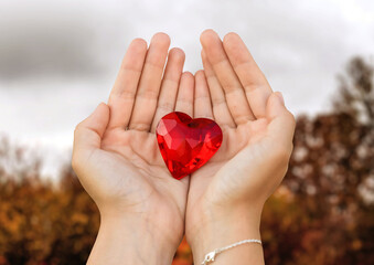 woman hands holds red heart
