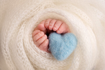 Legs, toes, feet and heels of a newborn. Wrapped in a white knitted blanket, wrapped. Macro photography, close-up. Knitted blue heart in baby's legs. 