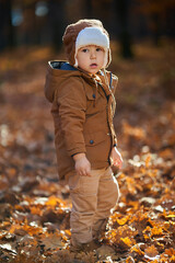 Little boy in the forest during fall