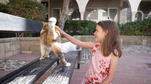 Cute kid girl pats strokes a homeless disabled cat without one paw in Paphos Cyprus