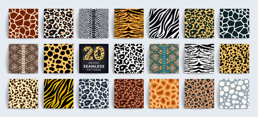 Obraz premium Wild safari animal seamless pattern collection. Vector leopard, cheetah, tiger, giraffe, zebra, snake skin texture set for fashion print design, fabric, textile, wrapping paper, background, wallpaper