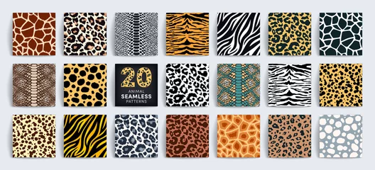 Poster Im Rahmen Wild safari animal seamless pattern collection. Vector leopard, cheetah, tiger, giraffe, zebra, snake skin texture set for fashion print design, fabric, textile, wrapping paper, background, wallpaper © Ketmut