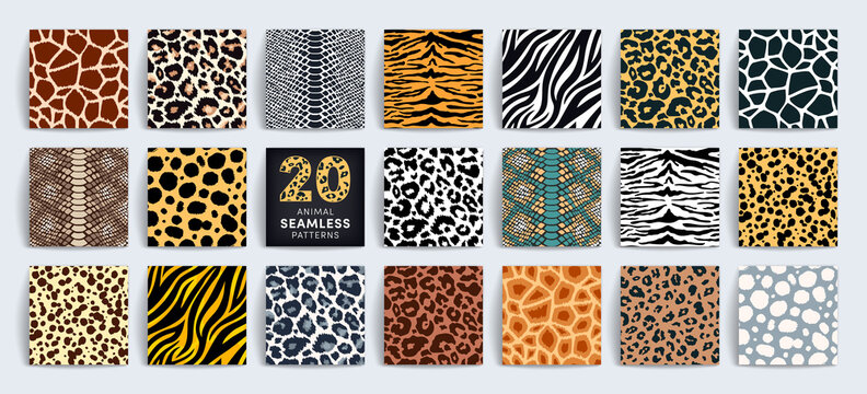 Patterns Animals Images – Browse 1,660,863 Stock Photos, Vectors, and Video  | Adobe Stock
