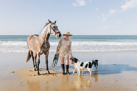 Pregnant woman with horse and dogs at beach