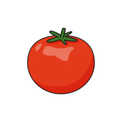 Vector tomato illustration. Cartoon pomodoro isolated on white background