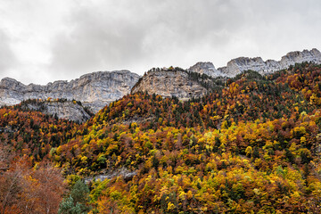 Autumn view of beautiful nature in Ordesa and Monte Perdido NP, Pyrenees, Aragon in Spain.