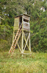 Wooden deer and wild boar hunting tower in forest.