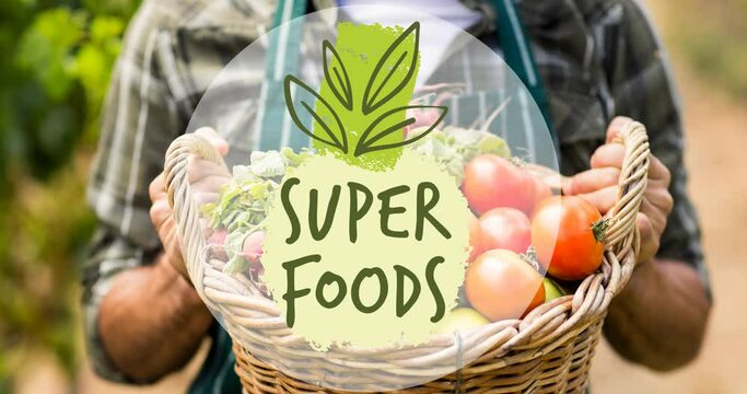 Animation of superfoods text in green over person carrying basket of freshly harvested vegetables