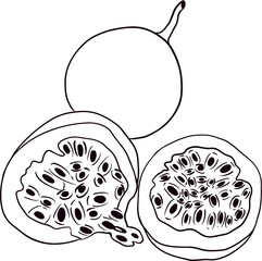 Vector hand drawn set of passion fruits. Passion fruit illustration. Delicious tropical vegetarian objects. Coloring pages