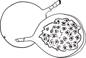Vector hand drawn set of passion fruits. Passion fruit illustration. Delicious tropical vegetarian objects. Coloring pages
