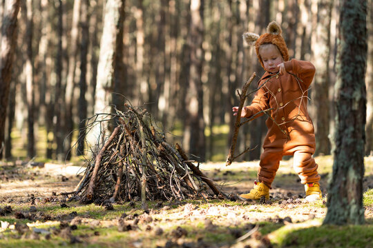 Girl holding plant's stick in forest