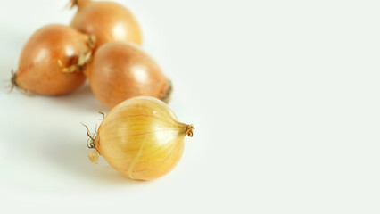 Onion on a light background