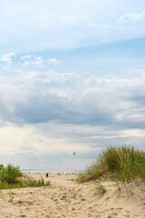 Sandy beach with grass on the seashore.