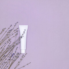 Skin care cream white tube with lavender flowers on purple background. Top view. Copy space