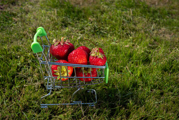 Strawberries in a toy cart from the supermarket on the grass