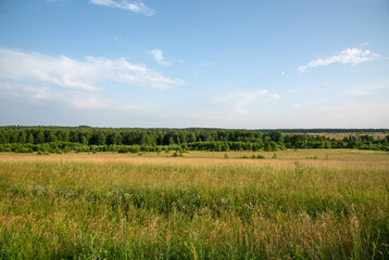 Plain, forest, field, sky with clouds