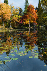 ニュージーランド　クイーンズタウンのワカティプ湖の岬にある植物園、クイーンズタウン・ガーデンズの池と秋の紅葉で色づいた木々