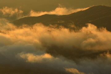 岩手県遠野市　遠野盆地の雲海