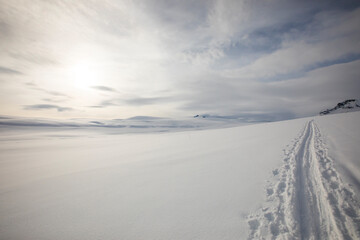 Ski expedition in Dovrefjell National Park, Norway