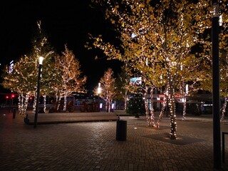 park in night-light