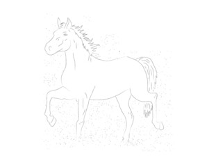 Horse on a white background. Silhouette. Vector illustration.
