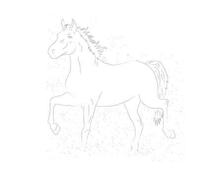 Horse on a white background. Silhouette. Vector illustration.