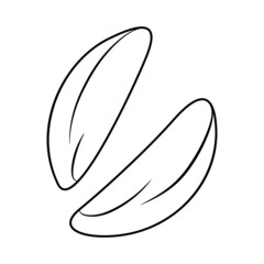 Brazilian walnut silhouette, icon. Vector linear illustration isolated on a white background for website design of products, applications, printing