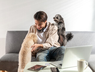 Asian freelancer wears headphones while working and learning at home via video webinars using new modern technology and wireless connectivity to studying online and playing with his pet dog, a happy