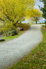 ニュージーランド　秋のクイーンズタウンのワカティプ湖の岬にある植物園、クイーンズタウン・ガーデンズの秋の紅葉で色づいた木々